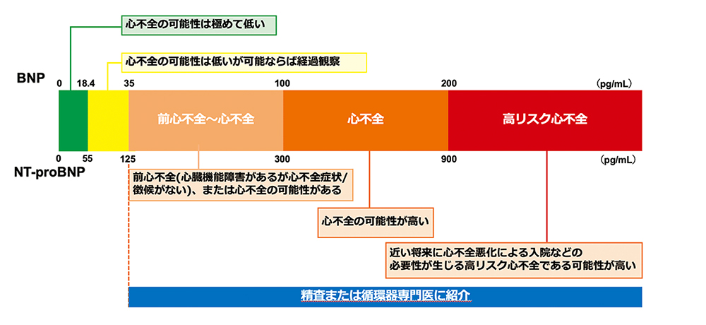 図：BNPとNT-proBNP